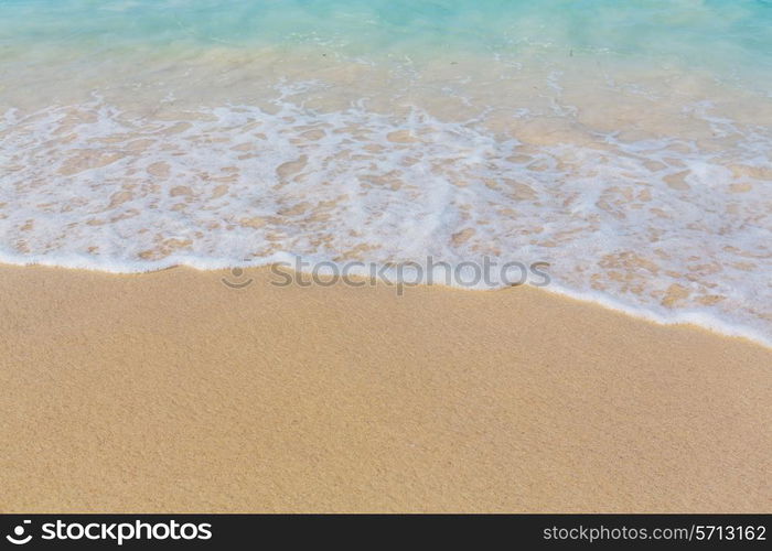 Wave on the beach