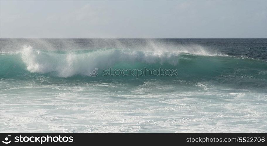 Wave on the beach, Haleiwa, North Shore, Oahu, Hawaii, USA