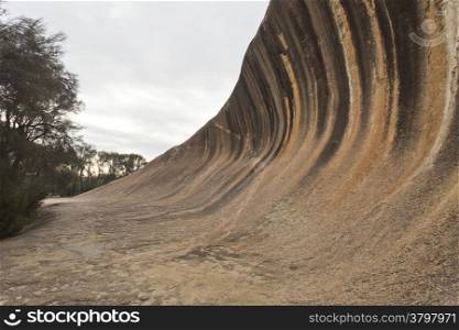 Wave Rock is a 14m high and 110m long granite cliff near Hyden in Western Australia