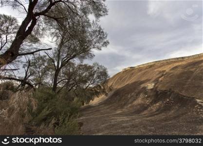 Wave Rock is a 14m high and 110m long granite cliff near Hyden in Western Australia