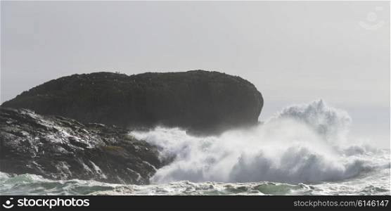 Wave splashing at coast, Pacific Rim National Park Reserve, Tofino, Vancouver Island, British Columbia, Canada