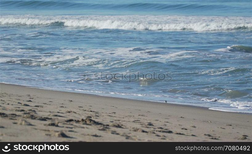 Waves and beach near the Santa Monica Pier.