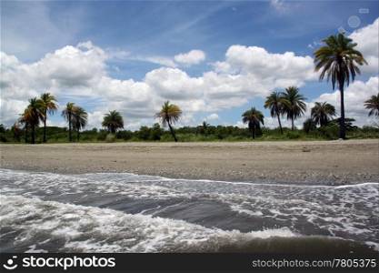 Waves, clouds and palm trees on the beach near Nadi, Fiji