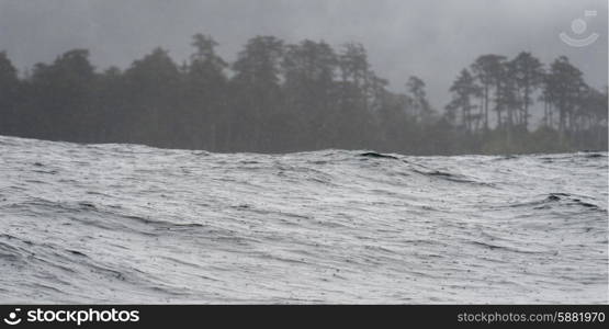 Waves in the Pacific Ocean, Skeena-Queen Charlotte Regional District, Haida Gwaii, Graham Island, British Columbia, Canada