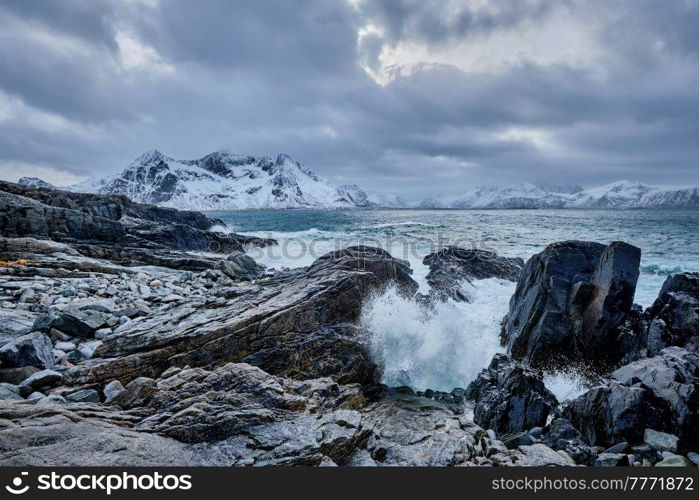 Waves of Norwegian sea crushing at rocky coast in fjord. Vikten, Lofoten islands, Norway. Norwegian Sea waves on rocky coast of Lofoten islands, Norway