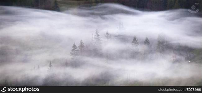 Waves of smoke in a mountain forest. Misty morning panorama. Coniferous forest in fog, Misty pine woodland.