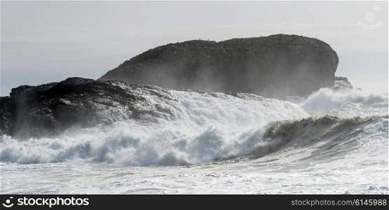 Waves splashing at coastline, Pacific Rim National Park Reserve, Tofino, Vancouver Island, British Columbia, Canada