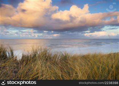 Waving dune grass with cumulus clouds above the North Sea coastline of the Netherlands. Sunset View from dune top over North Sea from the dutch islands
