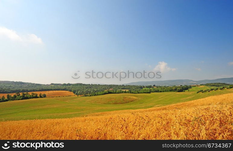 Wavy Hills of Tuscany Under Blue Cloudy Sky