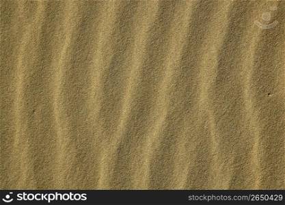 Wavy sea shore sand texture on sunshine, golden macro background