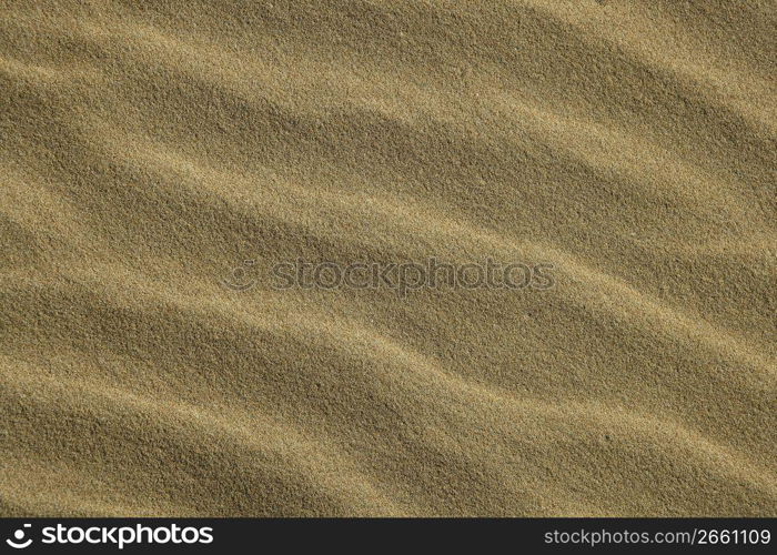 Wavy sea shore sand texture on sunshine, golden macro background