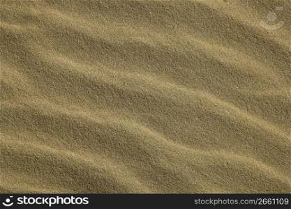 Wavy sea shore sand texture on sunshine, golden macro background