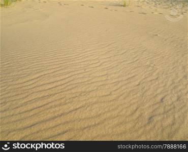 wavy yellow abstract sand texture pattern beach sandy background