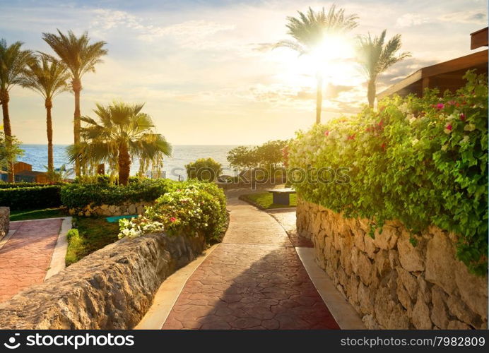 Way to beach of the red sea at sunset