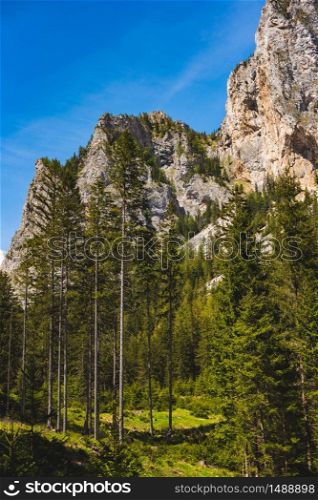 Way to Green Lake, Gruner See through forest and mountains. Place to visit tourist destination. Sunny summer day in Styria, Austria. Path to Gruner See through forest and mountains. Place to visit a well known tourist destination.