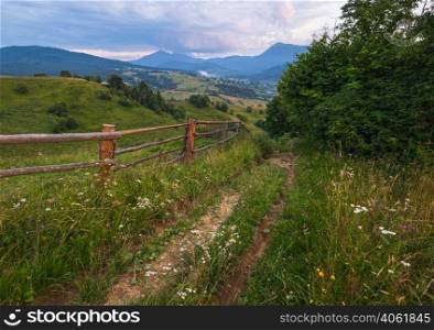 Way to mountains. Picturesque twilight summer Carpathian countryside meadows. Abundance of vegetation and beautiful wild flowers. Hoverla and Petros tops in far.