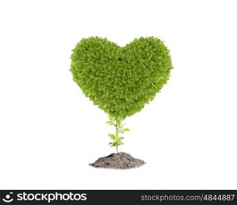 We love our planet. Conceptual image of green plant shaped like heart