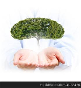 We love to nature. Close up of human hands holding green tree