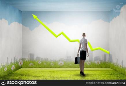 We will succeed!. Back view of businesswoman looking at growing graph