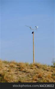 Weather station at Big Sable Point Dunes, Michigan, USA