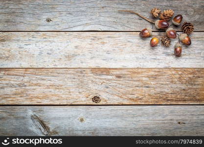 weathered barn wood background with acorns and cones fall decoration