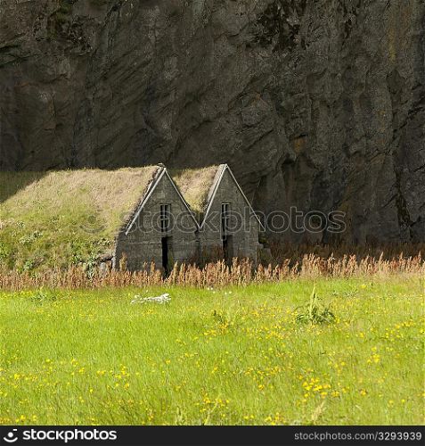 Weathered dwellings with grass on roof under a mountain cliff in a meadow