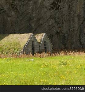 Weathered dwellings with grass on roof under a mountain cliff in a meadow