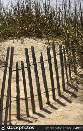 Weathered fence on sand dune on Bald Head Island, North Carolina.