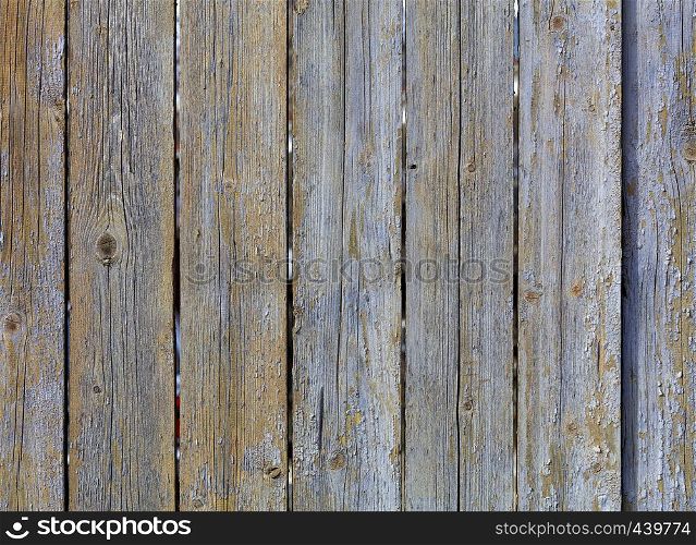 Weathered old gray wooden fence with peeling paint and rusty nails. Texture of weathered old gray wooden fence
