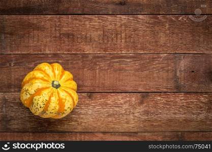 weathered plank barn wood background with a carnival winter squash