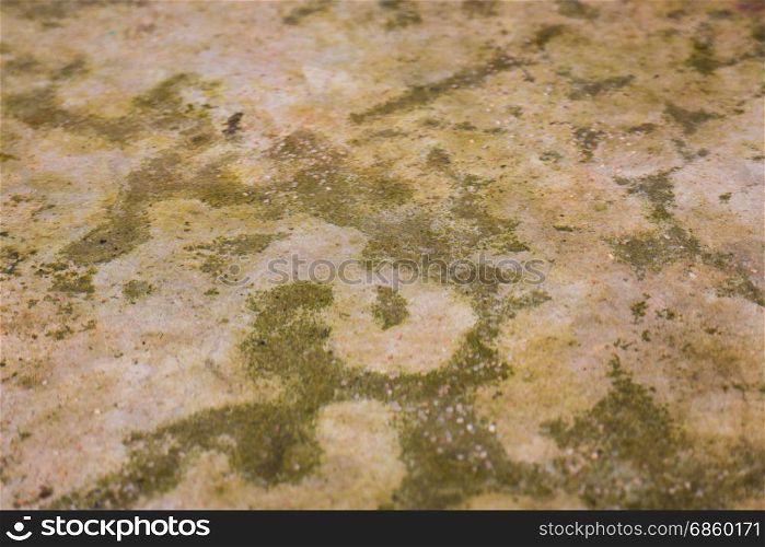 Weathered water container in garden, stock photo