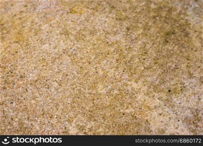 Weathered water container in garden, stock photo