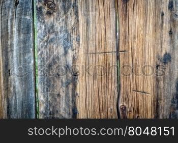 weathered wood texture of a rustic cabin wall with green vegetation in background