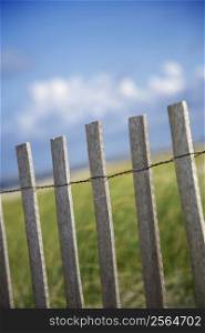 Weathered wooden fence on sand dune.
