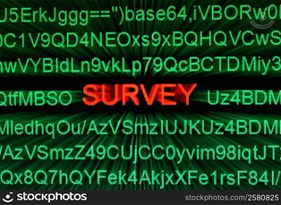 Web survey