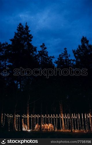 wedding banquet area in a pine forest with an arch against the background for several people against the background of the night sky