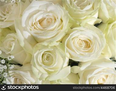 wedding bouquet in front of white background