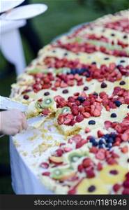 Wedding cake made of cream and fruit for a big event outdoors in summer .. Everyday