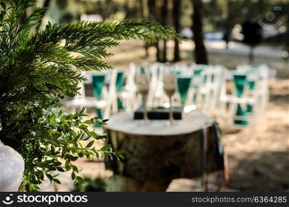 wedding ceremony in the woods among the trees on the green track