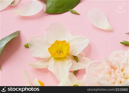 Wedding concept. Closeup of white flower represented over pink background. Decoration for any poster, post card or texture.. White flowers covering background