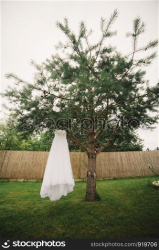 wedding concept. wedding dress hanging on a tree.. wedding dress hanging on a tree. wedding concept