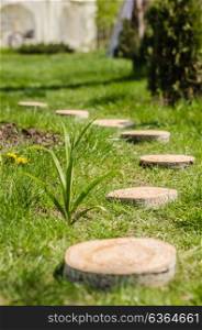 wedding decor section of tree trunk stumps on the green grass