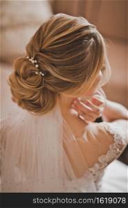 Wedding decoration for the brides hairstyle.. A bride with a beautiful hairstyle and jewelry in her hair 2603.