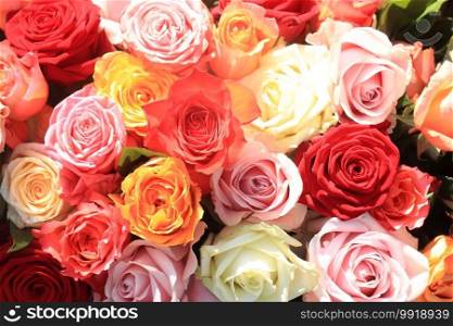 Wedding flowers  roses in various bright colors