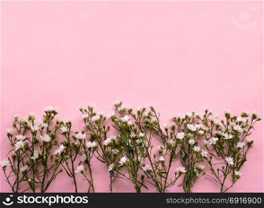 Wedding gypsophila flower on pink background. Flat lay style.