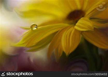 Wedding Invitation or Greeting Card.Yellow Nature Background.Floral Art Design.Abstract pastel background with copy space.Creative Artistic Wallpaper.Daisy Flower and Water Drop.Golden Color.Macro Photography.Water Drop.