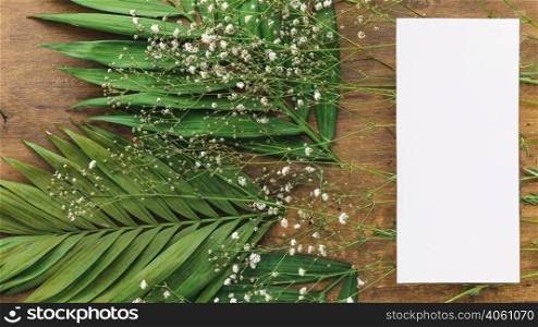 wedding menu concept with leaves