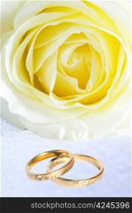 Wedding rings and rose on grey background