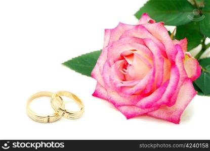 wedding rings and rose on white