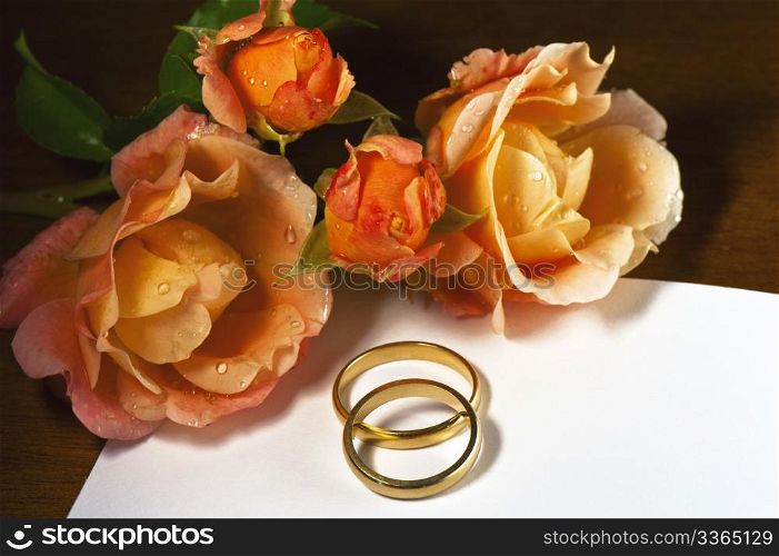 Wedding rings and roses on a dark background